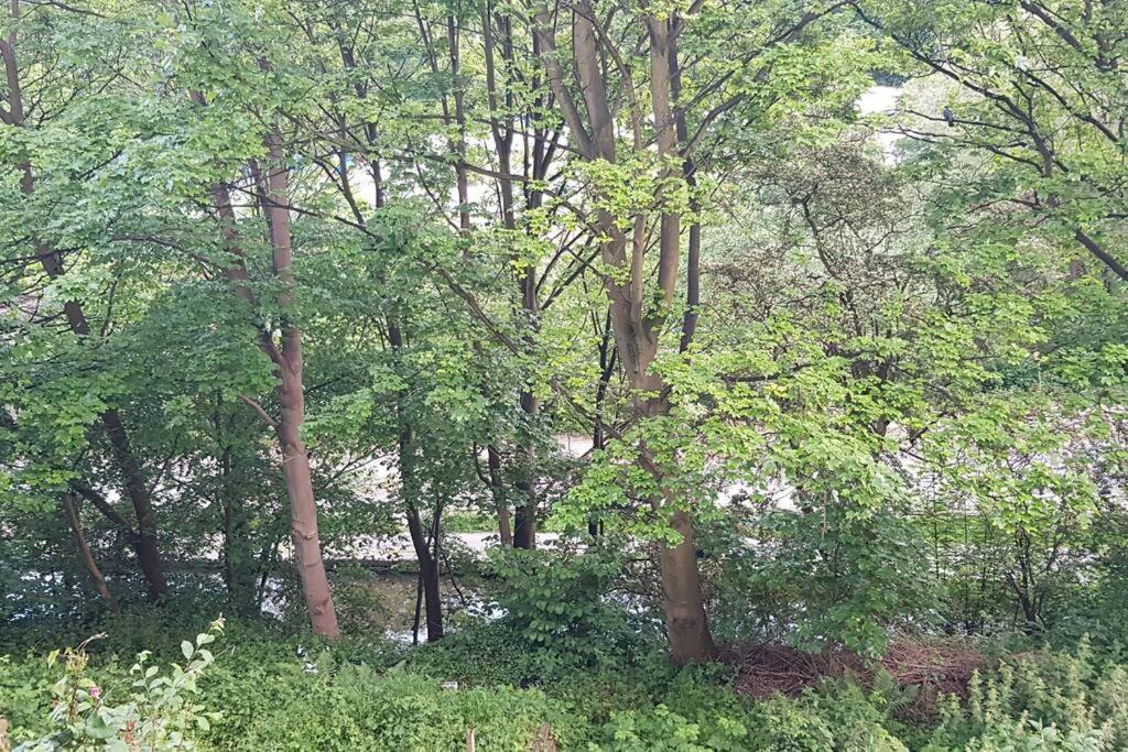 Bowie'S Abode Sowerby Bridge Kültér fotó